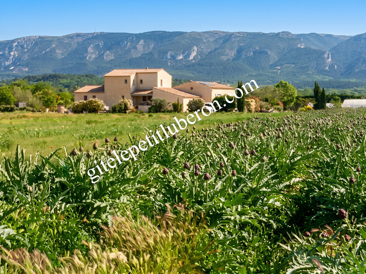 Studio 40 m² avec piscine et jardin à Cabrières-d'Avignon - Photo 37