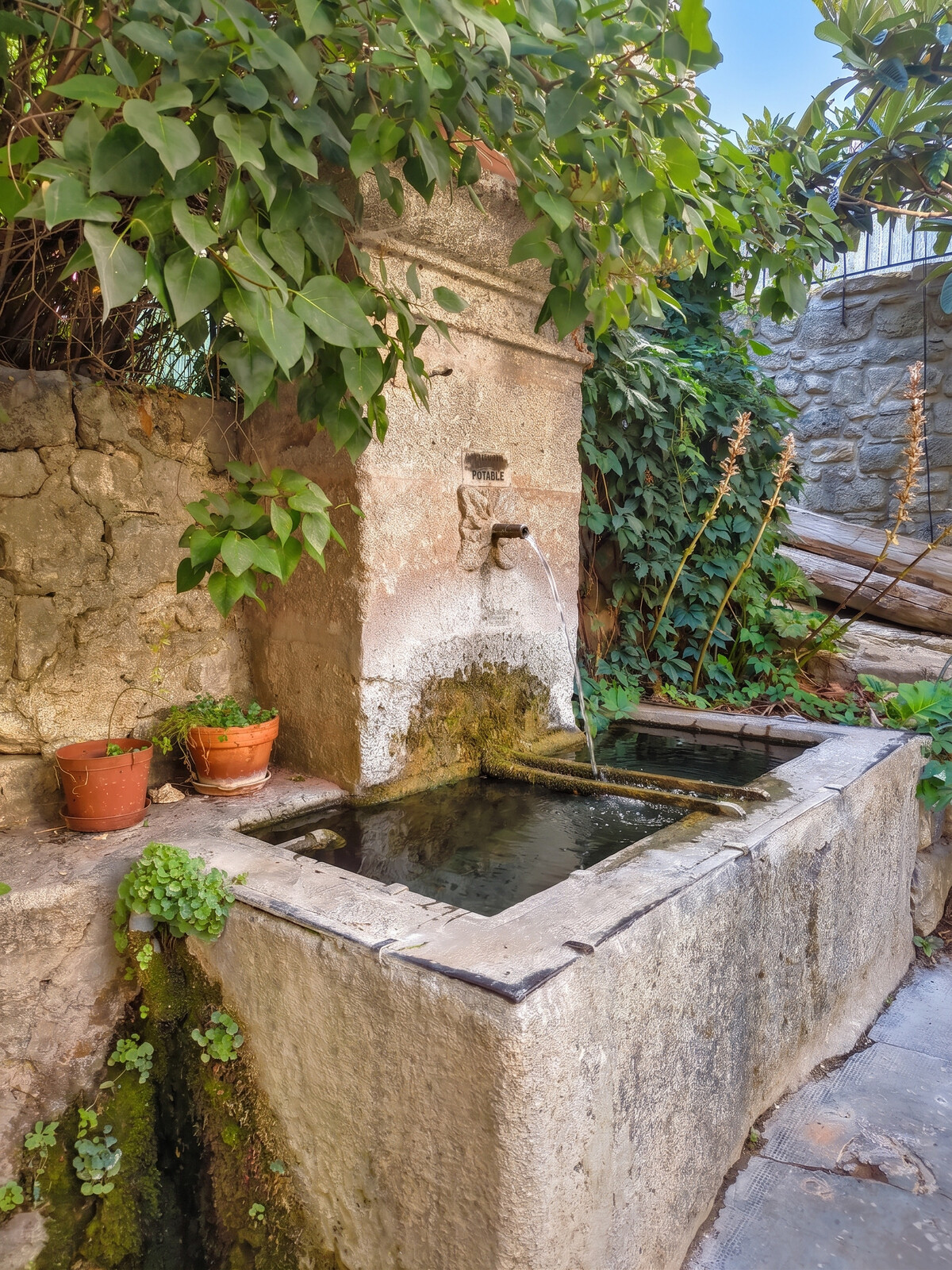 Studio 40 m² avec piscine et jardin à Cabrières-d'Avignon - Photo 44