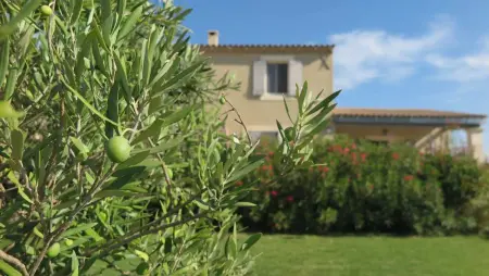 Location appartement à Cabrières d'Avignon, Studio accueillant avec piscine à Cabrières-dAvignon 40 m²