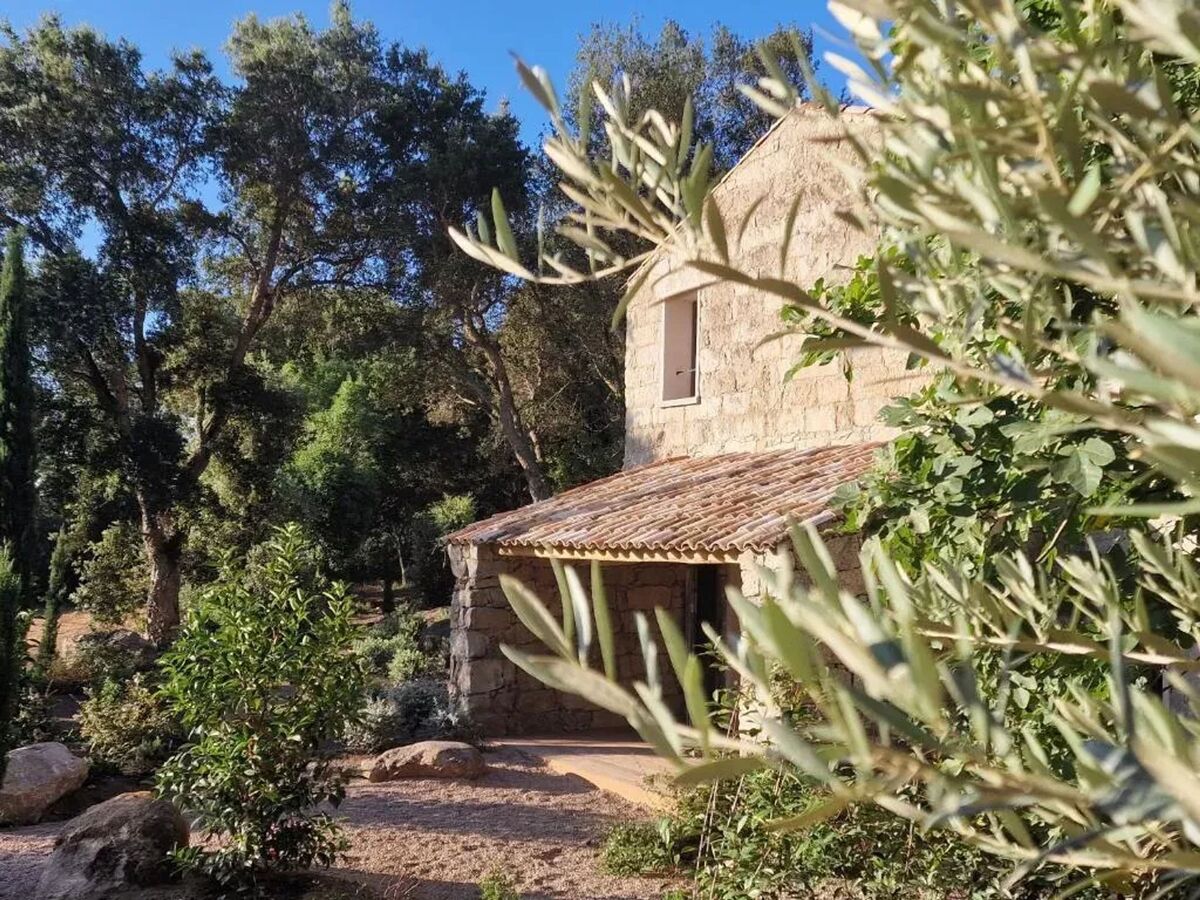 Spacieuse villa avec piscine privée à Porto-Vecchio - Photo 18