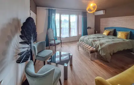 Maison rénovée 180 m² avec jardin à Dax : photo 9