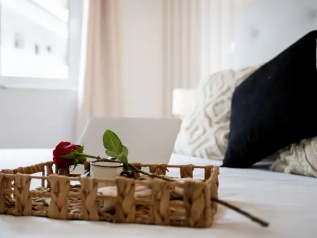 Appartement 100m de la plage, animaux admis à Albufeira : photo 16