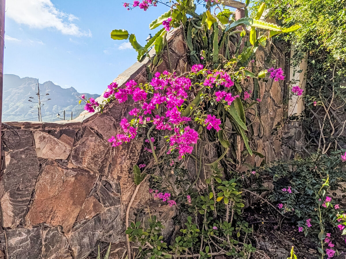 Finca Luz de Palmera – Maison 5 chambres, vue montagnes - Photo 8