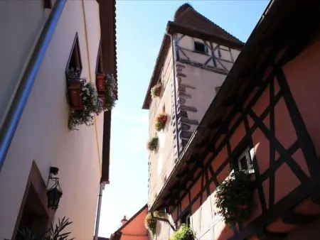 Gîte alsacien XVIIIe siècle à Ammerschwihr, 4 pers. - Photo 1