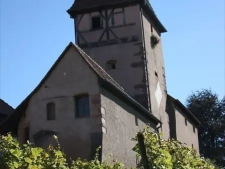 Gîte alsacien XVIIIe siècle à Ammerschwihr, 4 pers. - Photo 7