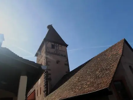 Gîte alsacien XVIIIe siècle à Ammerschwihr, 4 pers. - Photo 8