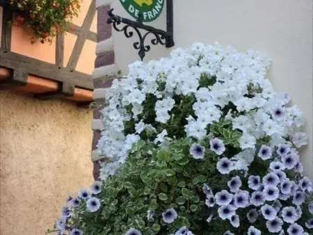 Gîte alsacien XVIIIe siècle à Ammerschwihr, 4 pers. - Photo 9