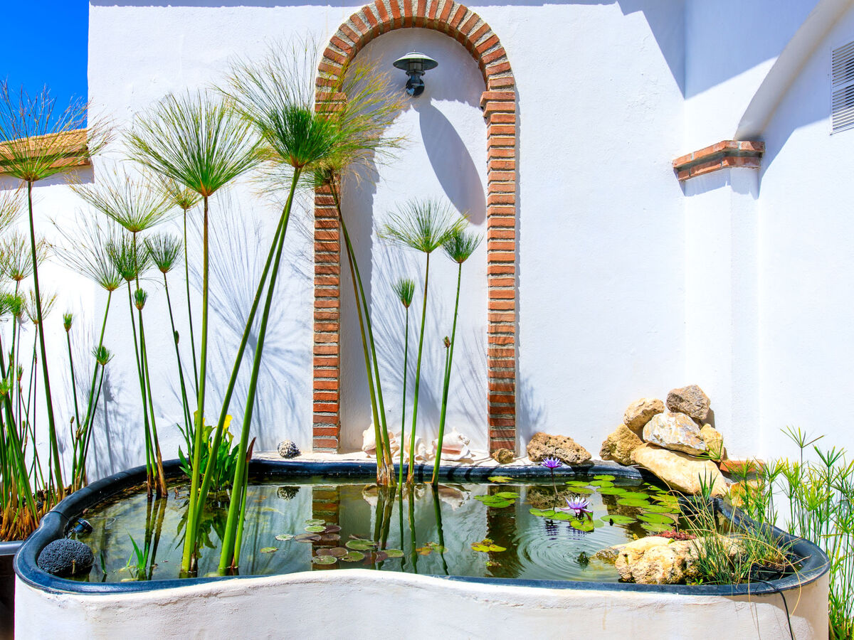 Villa Lotus 4 chambres avec piscine à Almuñécar - Photo 50