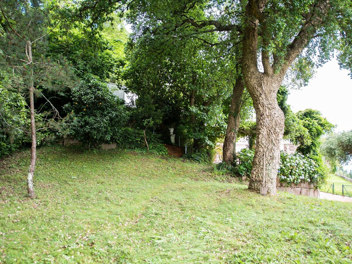 Villa 5 chambres avec piscine près de Vigo - Photo 47