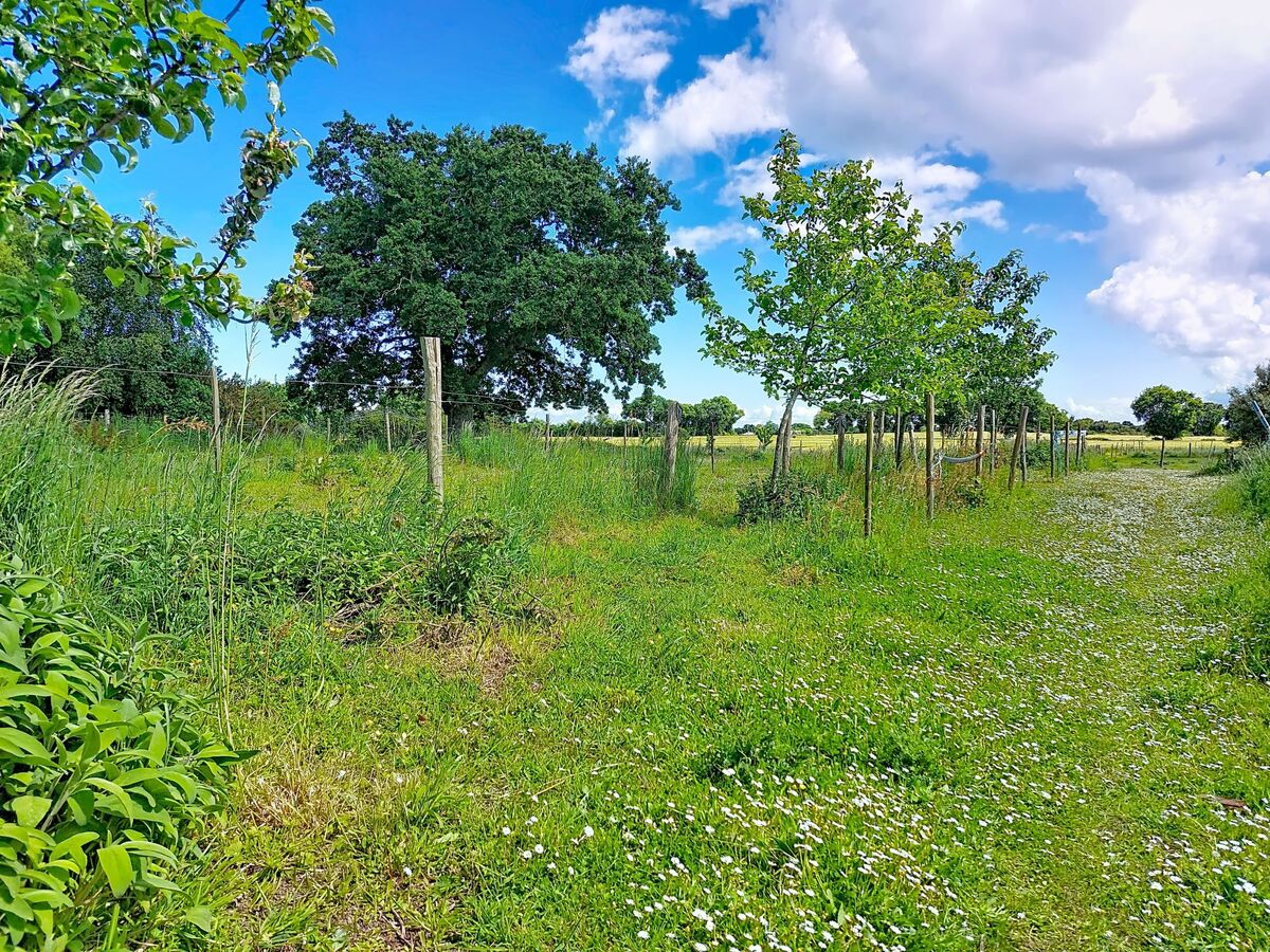 Les Cerisiers – Maison 4 pers. rénovée 2024, terrasse sud - Photo 43