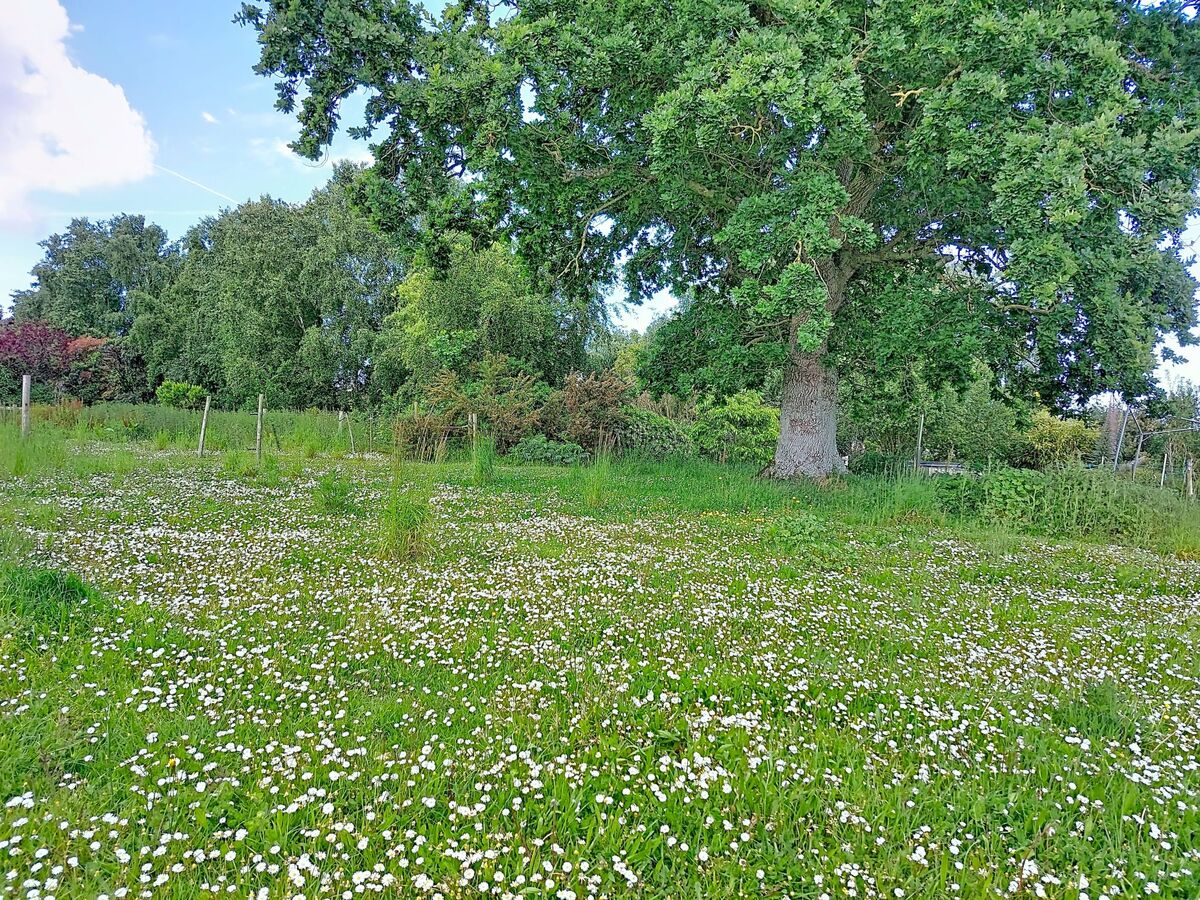 Les Cerisiers – Maison 4 pers. rénovée 2024, terrasse sud - Photo 51