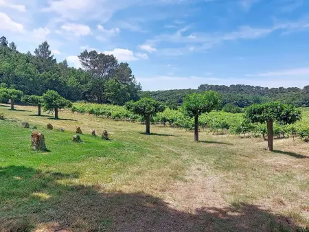Chateau Payan, Maison 8 personnes à Flassans sur Issole - Photo 51