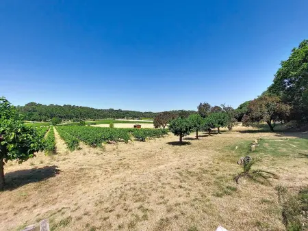 Chateau Payan, Maison 8 personnes à Flassans sur Issole - Photo 57