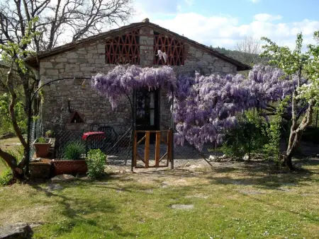 La Capanna, maison 300 ans en Chianti Classico : photo 2