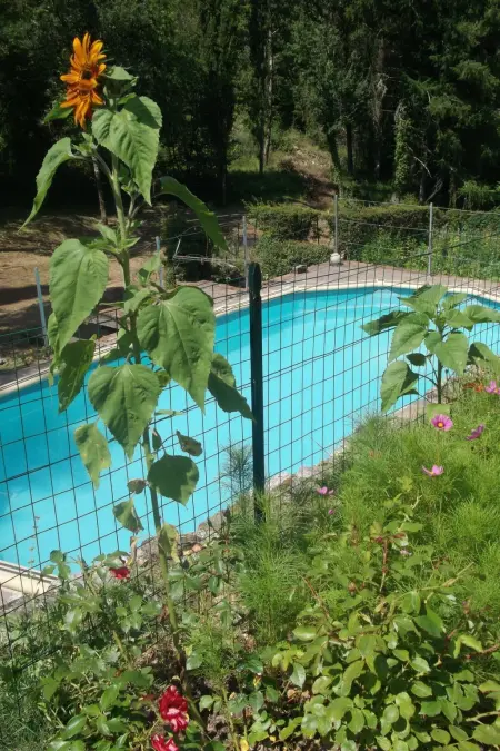 La Capanna, maison 300 ans en Chianti Classico : photo 34