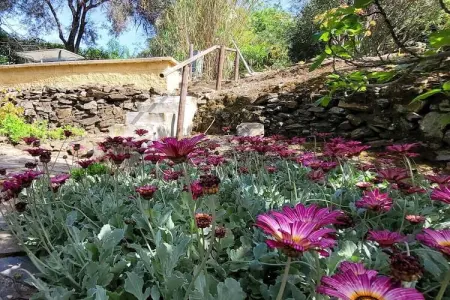 Finca avec piscine privée à Torrox, 3 chambres : photo 21