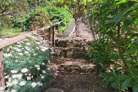 Finca avec piscine privée à Torrox, 3 chambres : photo 22