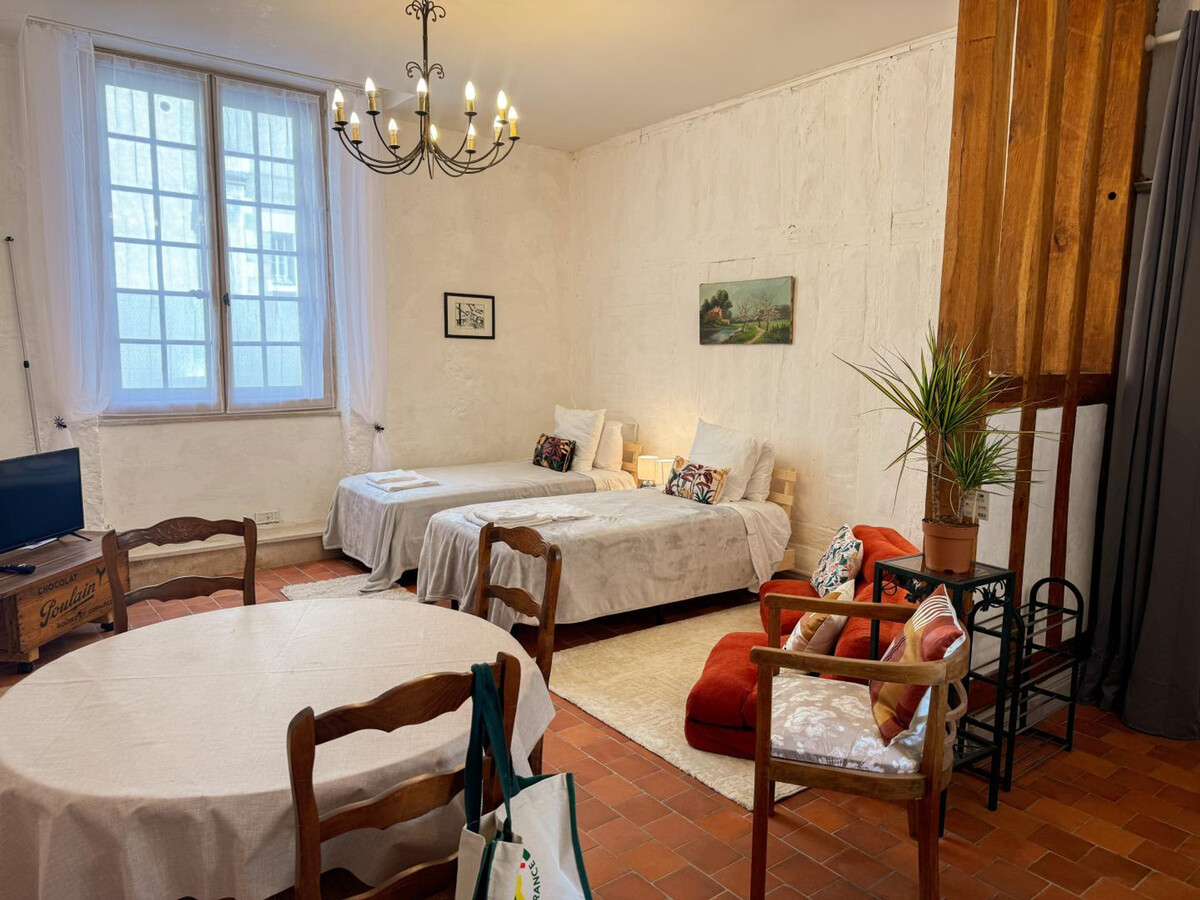 Studio centre-ville Blois, animaux admis, WiFi - Photo 3