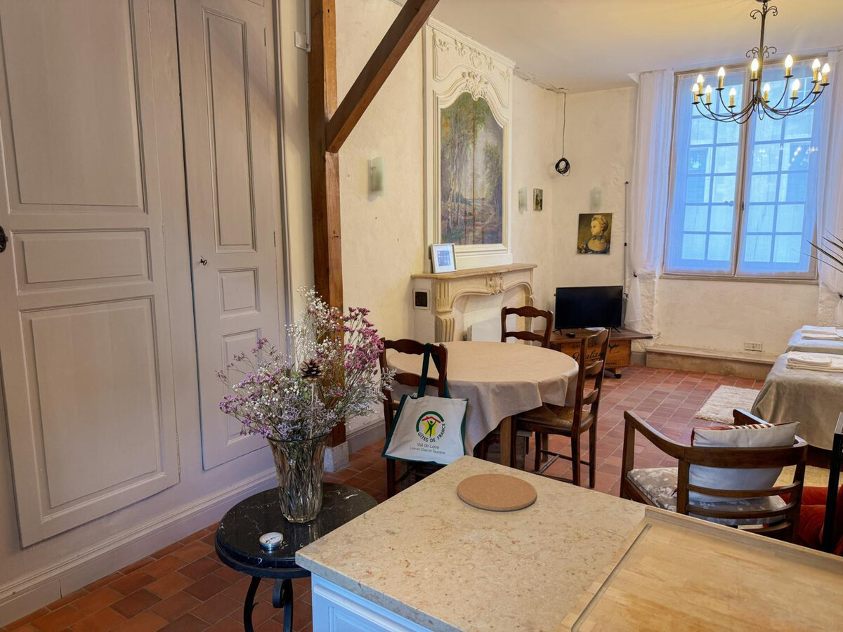Studio centre-ville Blois, animaux admis, WiFi - Photo 5
