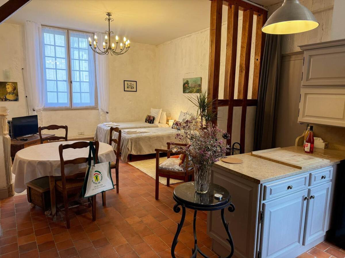 Studio centre-ville Blois, animaux admis, WiFi - Photo 6
