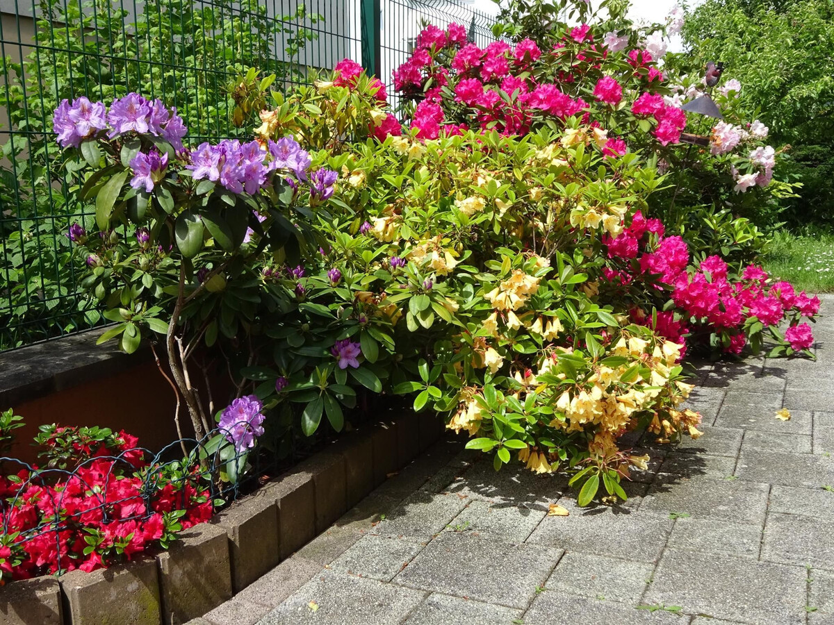 Les Quatre Saisons – Gîte 5 pers. à Colmar - Photo 34