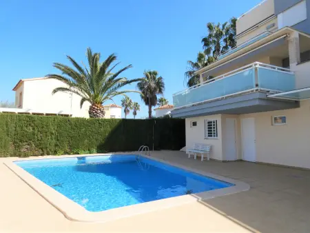 Appartement 4 pers., 2 ch., piscine à Oliva Nova : photo 32