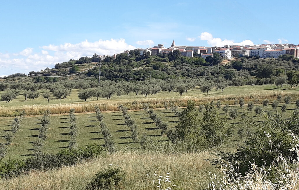 Il Refugio, maison en pierre à Colletorto - Photo 7