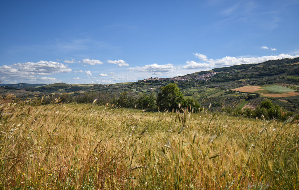 Il Refugio, maison en pierre à Colletorto - Photo 15
