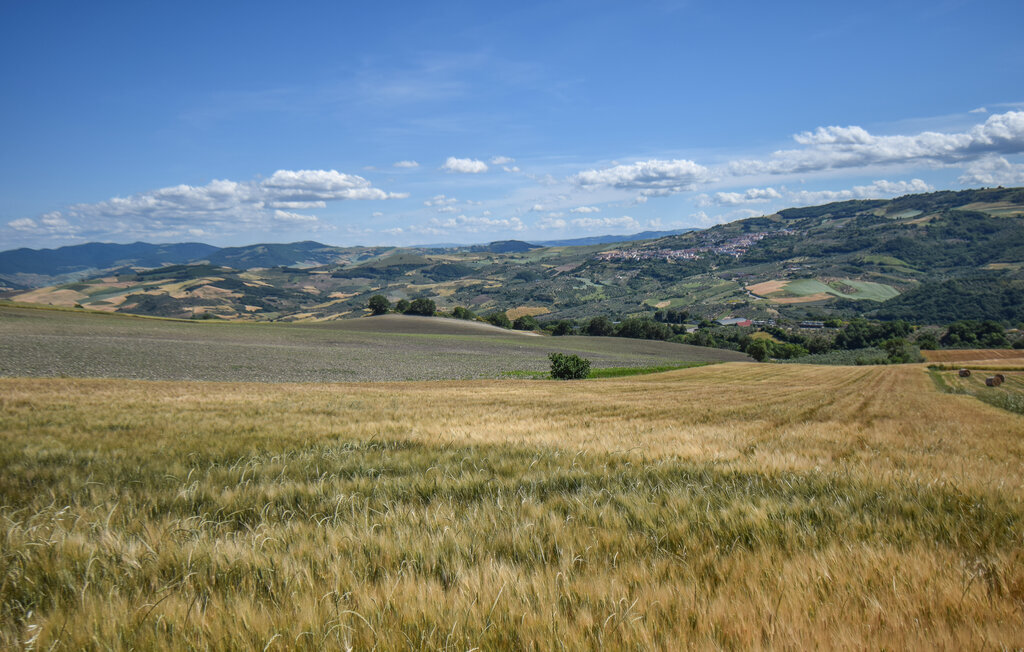 Il Refugio, maison en pierre à Colletorto - Photo 16