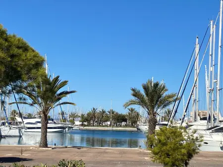 Appartement 5 pers. avec piscine à La Manga del Mar Menor : photo 24
