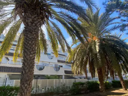 Appartement 5 pers. avec piscine à La Manga del Mar Menor : photo 28