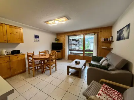 Appartement 2 chambres centre Samoëns, balcon sud : photo 15