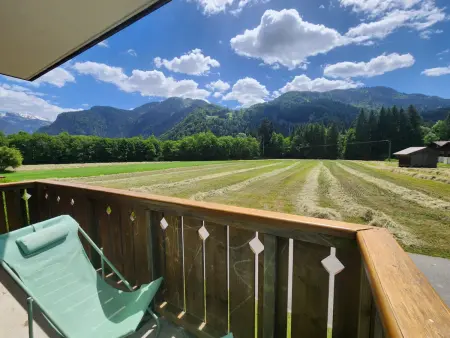 Appartement 2 pièces balcon sud-ouest à Samoëns : photo 16
