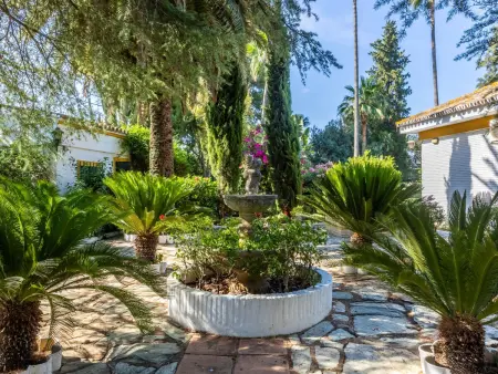 Finca las Palmeras – Gîte 8 pers., piscine à Sanlúcar : photo 33