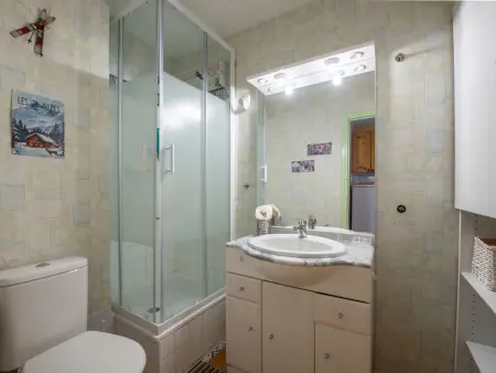 Olympe, studio 28 m² aux Deux Alpes, 300 m des pistes : photo 6