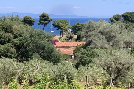 Maison 3 chambres avec terrasse panoramique à Capoliveri