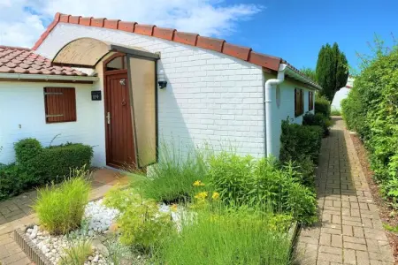 Maison 60 m² Bredene : jardin et barbecue côté dunes : photo 4