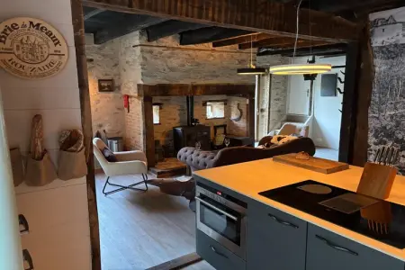 Les Rives de Vézère, maison historique au bord de l'eau : photo 22