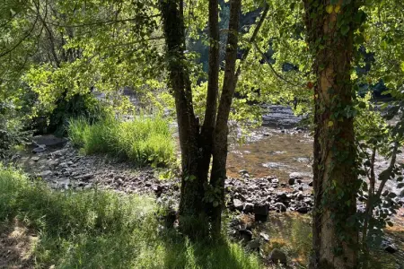 Les Rives de Vézère, maison historique au bord de l'eau : photo 41