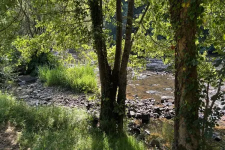 Les Rives de Vézère, maison 6 pers. au bord de l'eau : photo 52