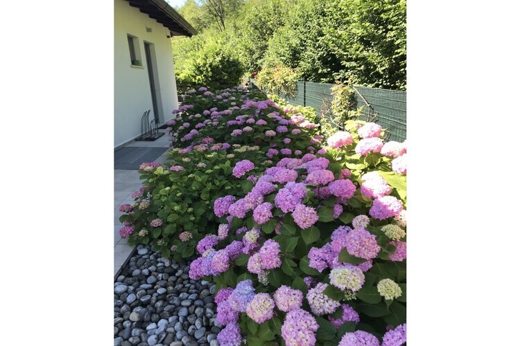Maison 6 pers. avec piscine chauffée à Tremosine - Photo 18