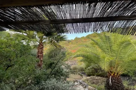 Casa Sonho : maison avec piscine d'eau salée à Estoi : photo 11