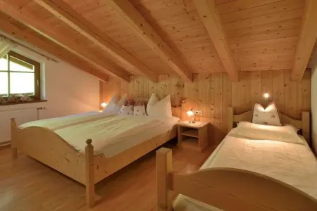 Maison 60 m² à Steinhaus, 2 chambres et jardin privé : photo 8