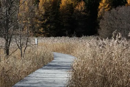 Maison Aqua Vista Lakeside, vue directe sur le lac : photo 23