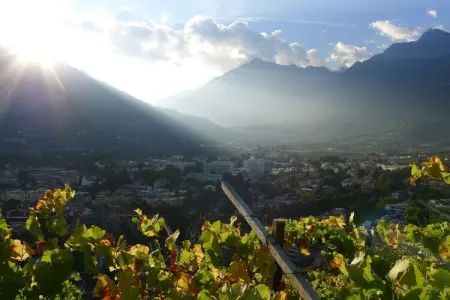 Appartement neuf Klimahaus à Meran, 1 chambre : photo 15