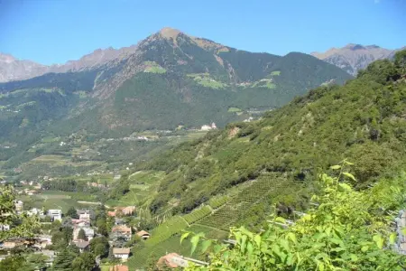 Appartement neuf Klimahaus à Meran, 1 chambre : photo 18