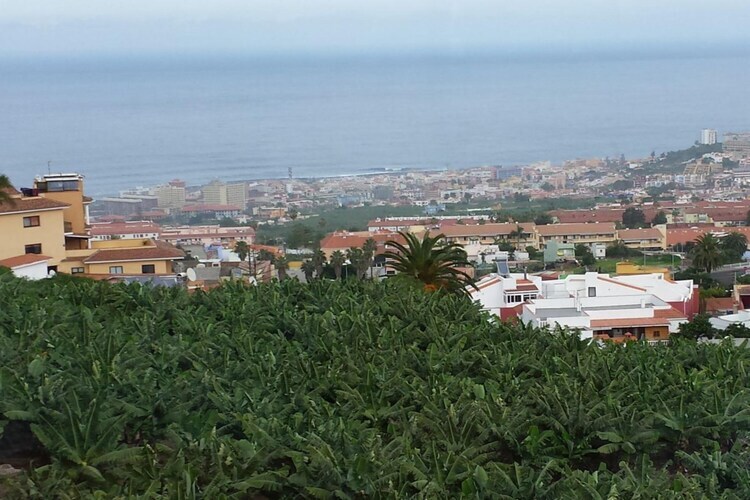 Suite d'angle El Drago avec vue mer et Teide - Photo 17