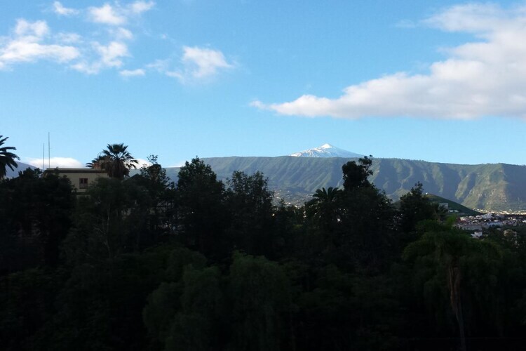 Suite d'angle El Drago avec vue mer et Teide - Photo 18
