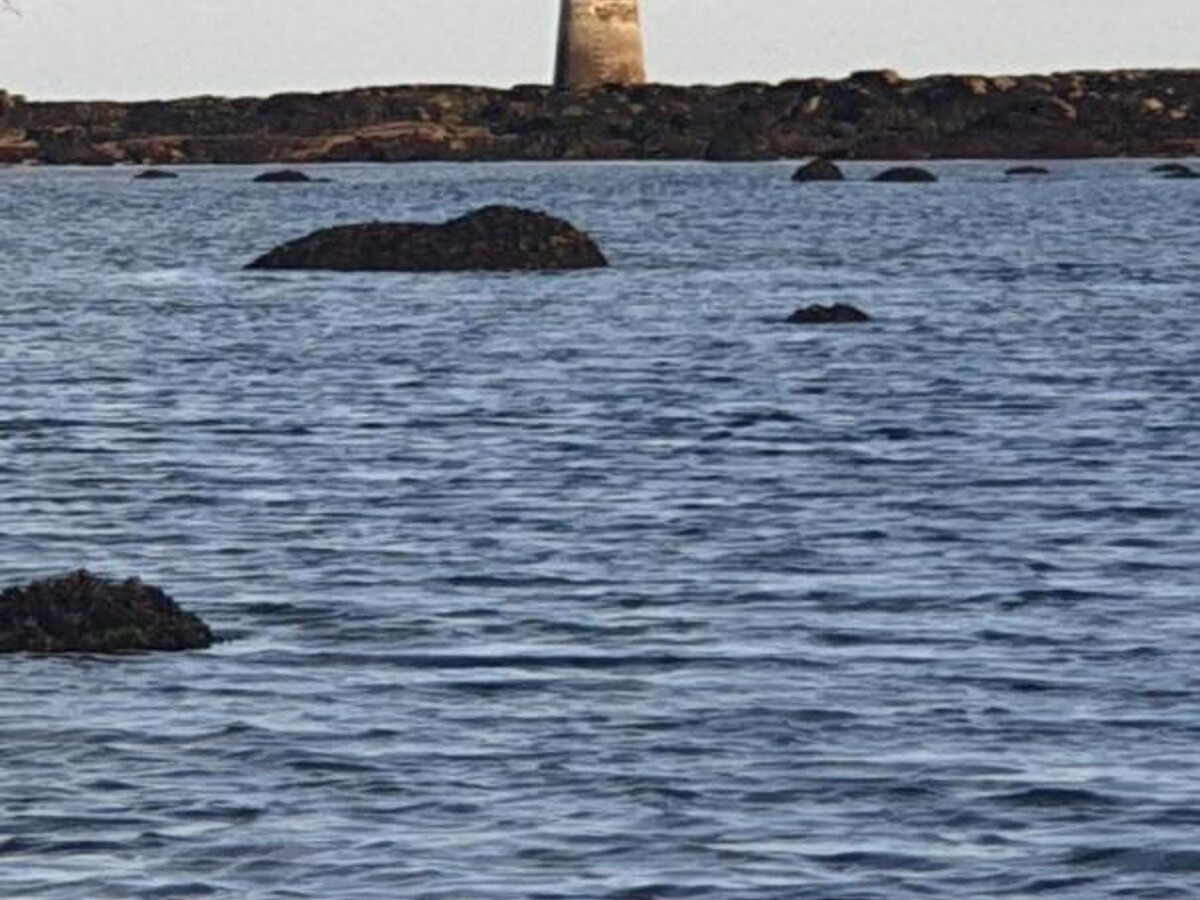 Appartement rez-de-chaussée animaux admis à Saint-Vaast - Photo 29