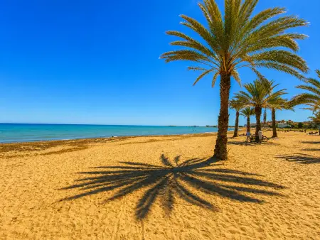 Appartement première ligne de plage, terrasse 33 m² - Dénia : photo 29